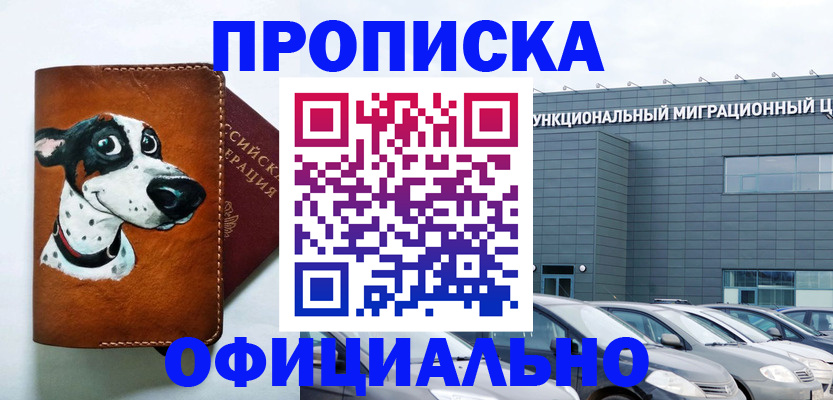 временная прописка в Мурино